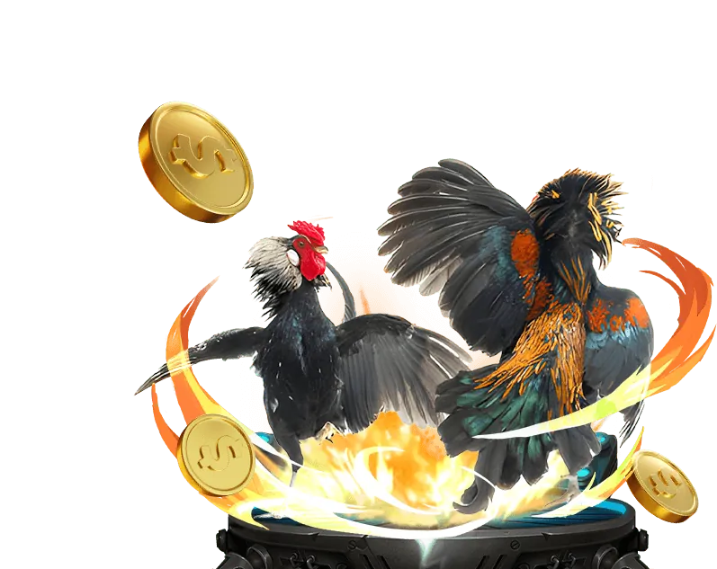 Giới Thiệu Đá Gà Trực Tuyến